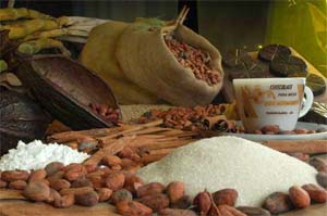 History of Chocolate.