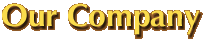 Our Company